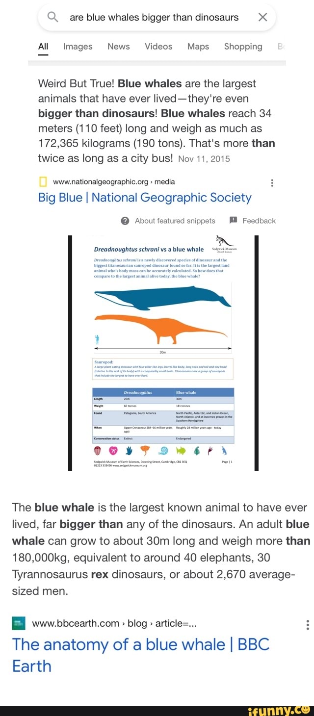 Fun fact/ source for a comment - Qu are blue whales bigger than