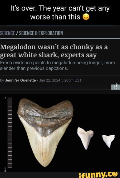 Megalodon wasn't as chonky as a great white shark, experts say