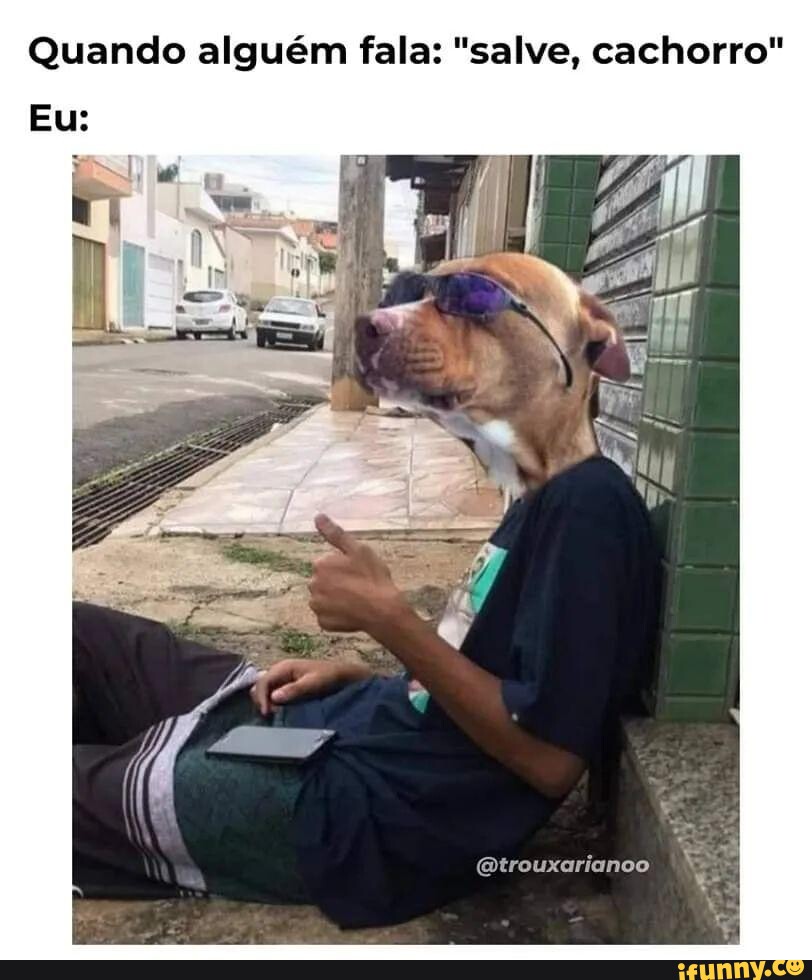 Hmm acho que vou assitir vídeos engraçados que salveinoyt I - iFunny Brazil