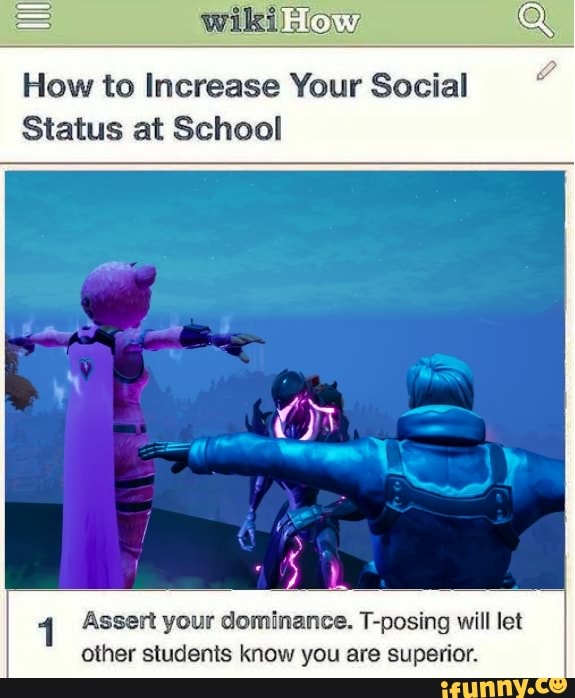 T-POSE TO ASSERT DOMINANCE AND SHOW WHO IS THE SUPERIOR - iFunny
