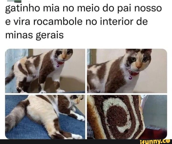 Cerejinha memes. Best Collection of funny Cerejinha pictures on iFunny  Brazil