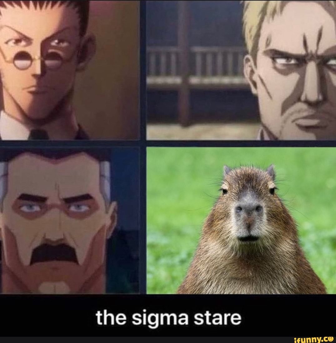 The sigma stare, Sigma Stare