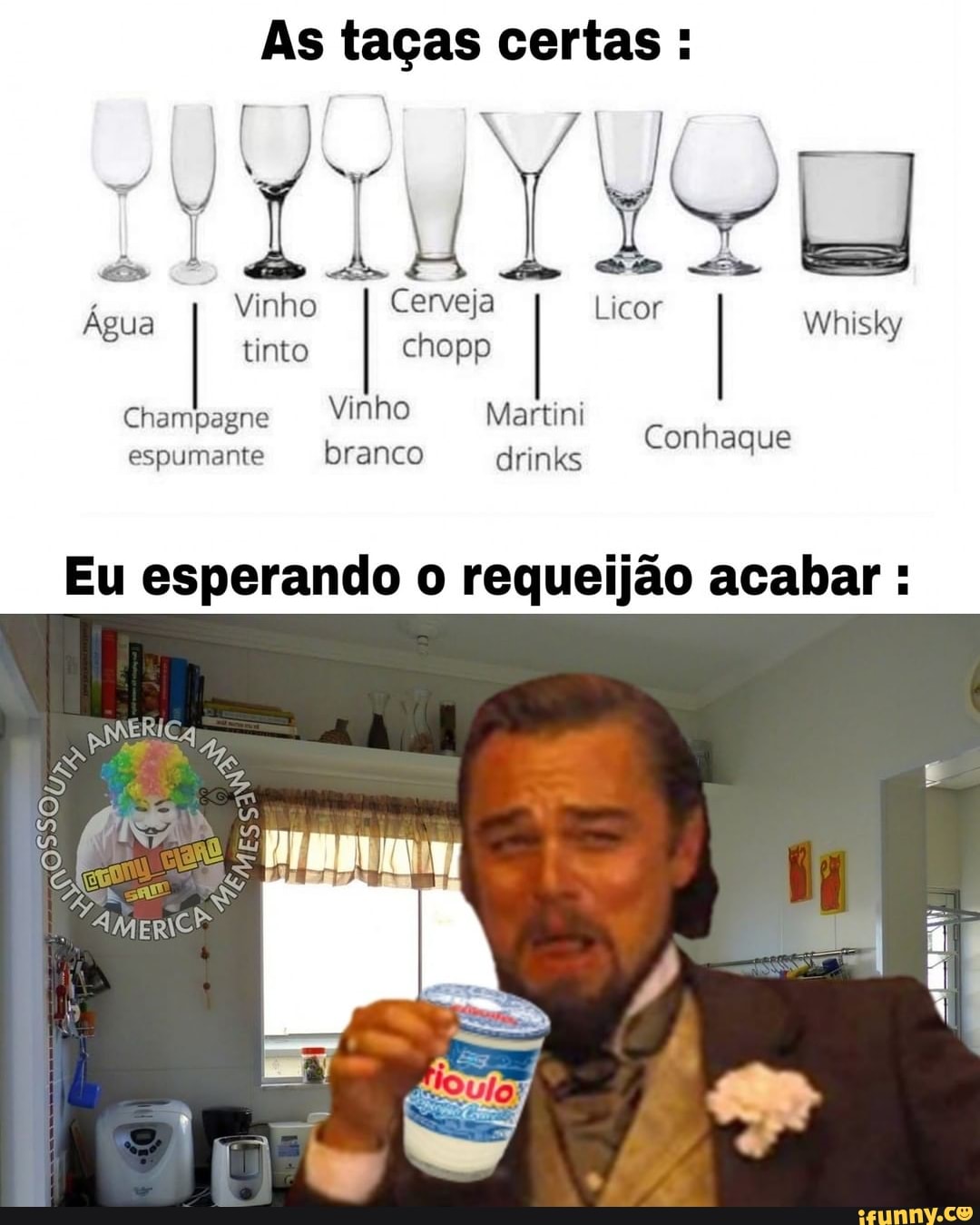 Rótulos para Vinho e Champanhe Meme Engraçado