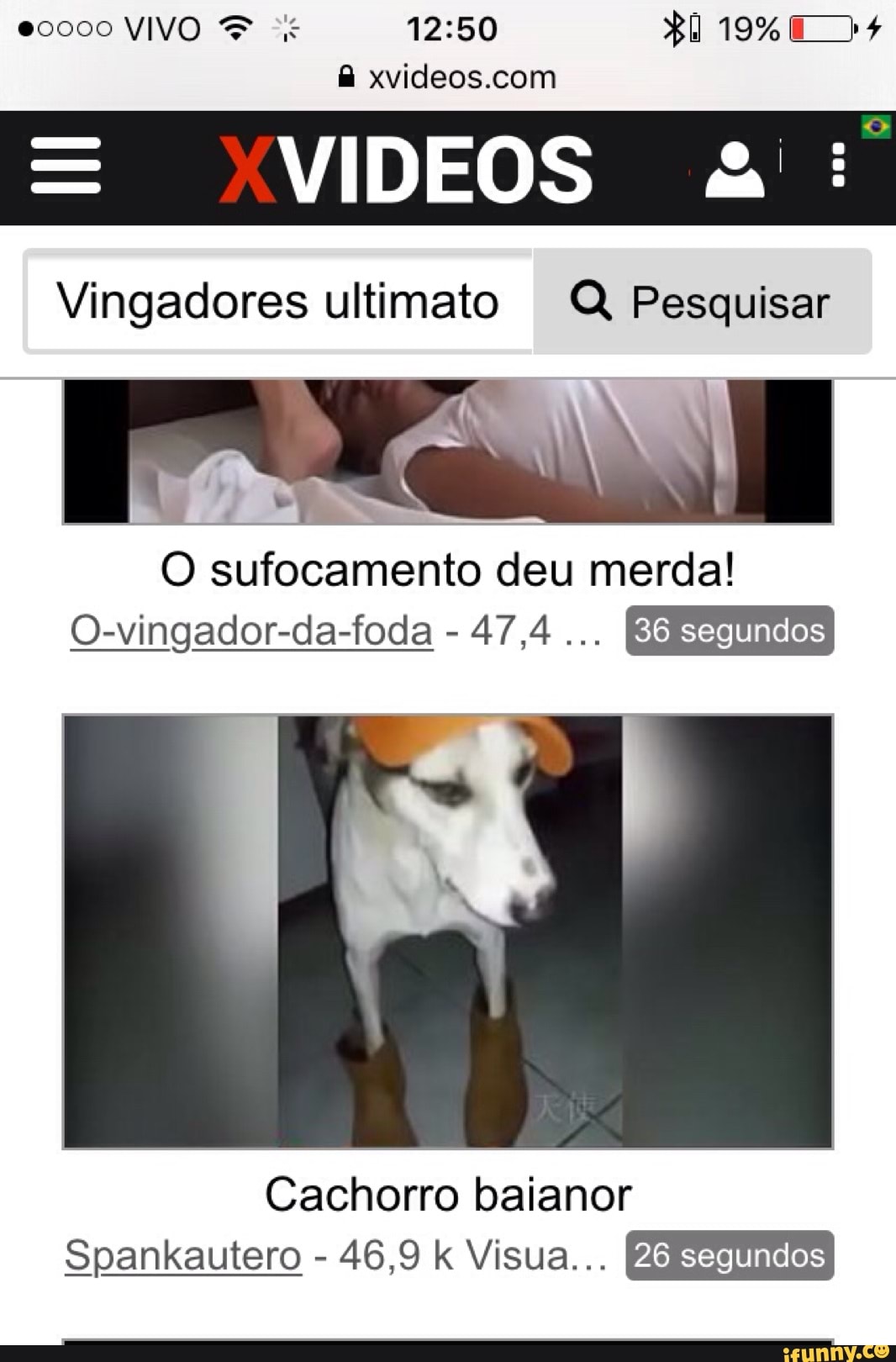 I O sufocamento deu merda! O-vingador-da-foda Cachorro baianor Spankautero  46,9 k Visua... - iFunny Brazil