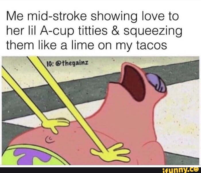 Me mid-stroke showing love to her IiI A-Cup titties & squeezing them like a  lime on my tacos 1a- - iFunny Brazil