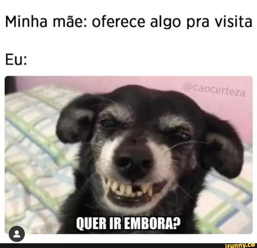 Memes em Imagens Minha mãe: Você tem que parar de mexer com o pessoal na  rua Passa alguém de camisa rosa Eu: Viadinhoooo! - iFunny Brazil