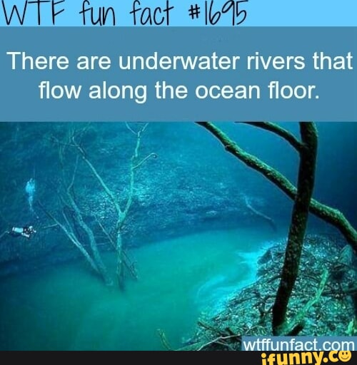 Tun fact There are underwater rivers that flow along the ocean floor