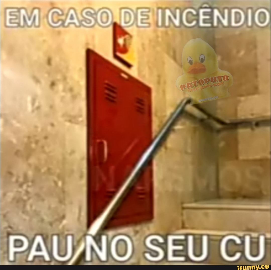 PAU-NO SEU CU - iFunny Brazil