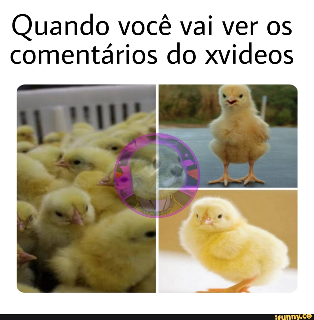 Quando você vai ver os comentários do xvideos - iFunny Brazil