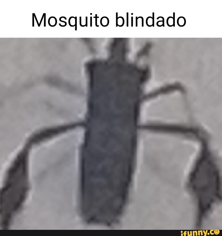 Blindao memes. Best Collection of funny Blindao pictures on iFunny Brazil