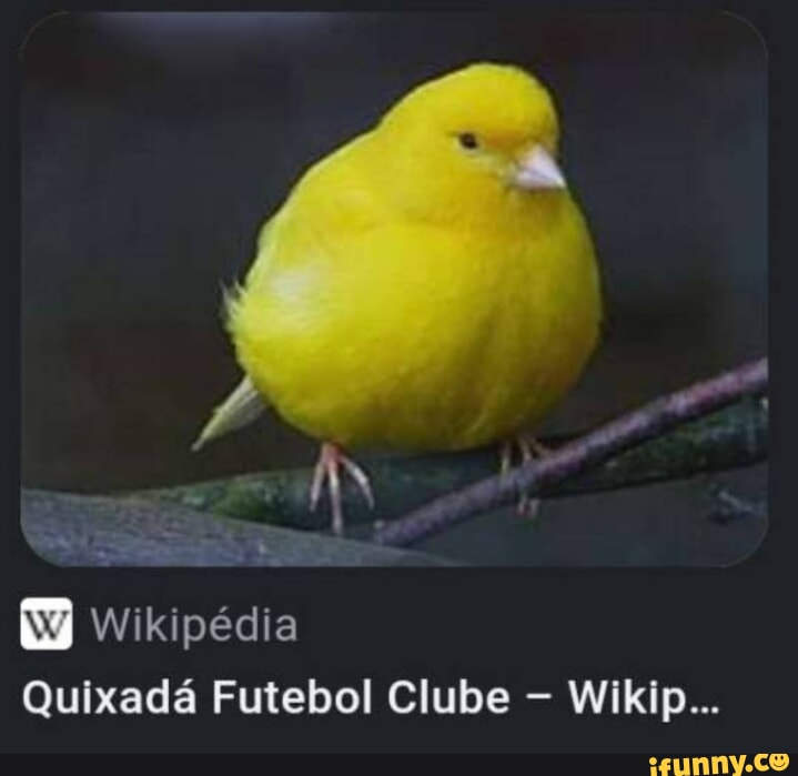 Wikipédia Quixadá Futebol Clube - Wikip... - IFunny Brazil