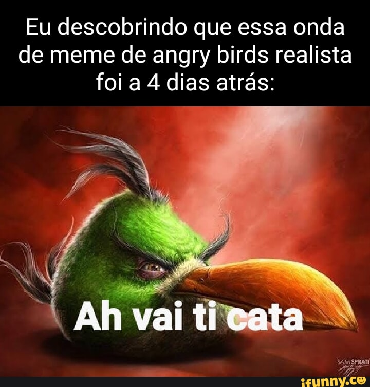 passou de duas linhas eu não leio. #memes #shitposting #angrybirds