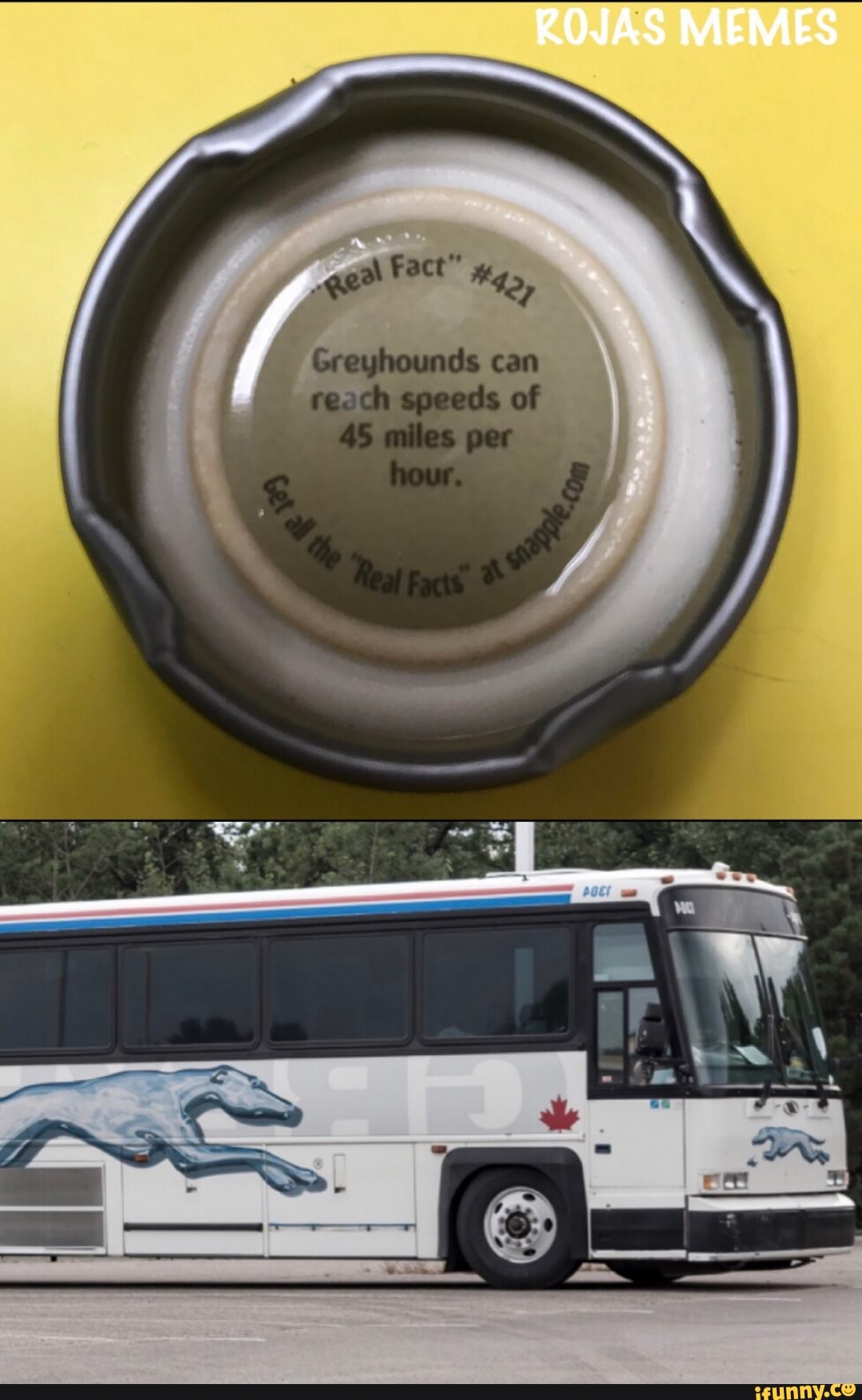 Greyhoundbus memes. Best Collection of funny Greyhoundbus pictures on  iFunny Brazil