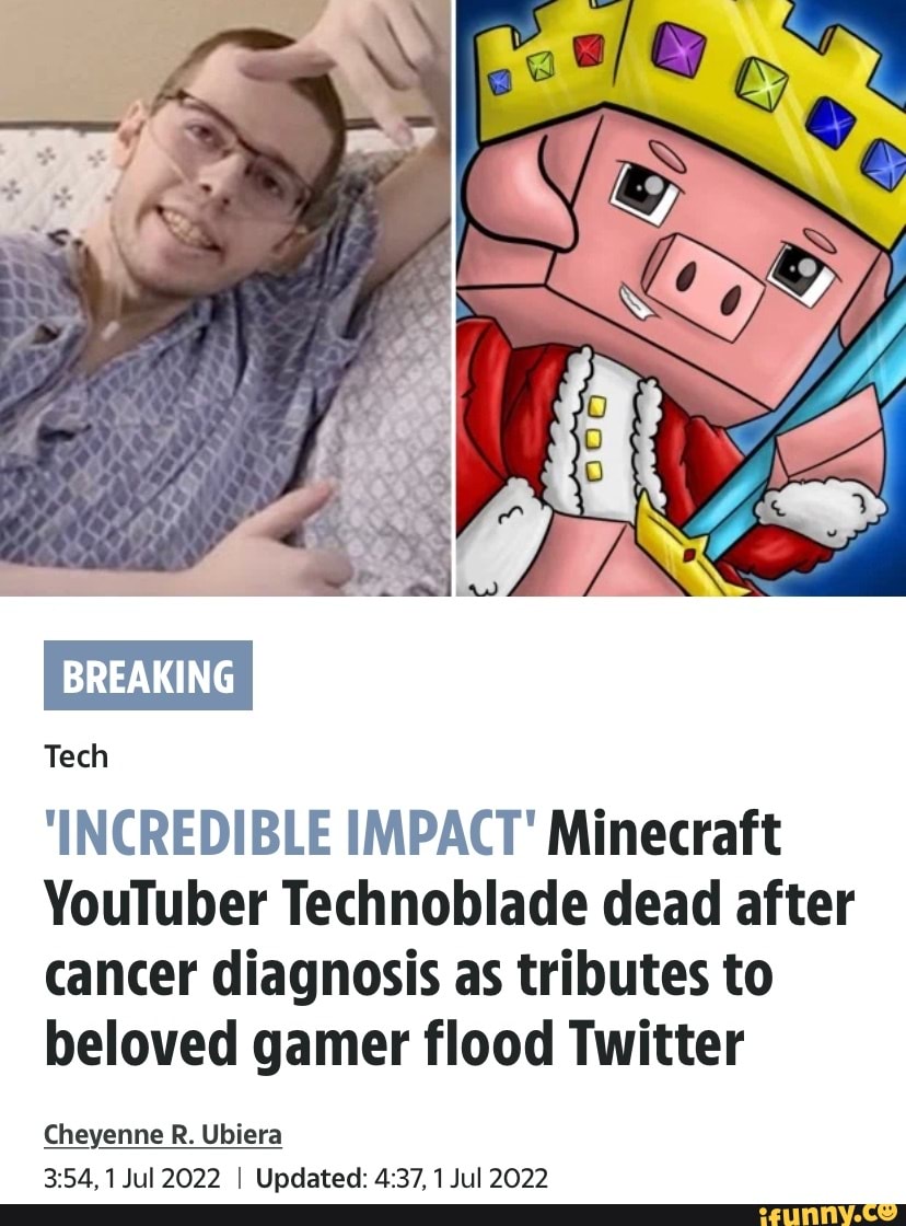 Technoblade,' Minecraft gamer and  star, dies of cancer
