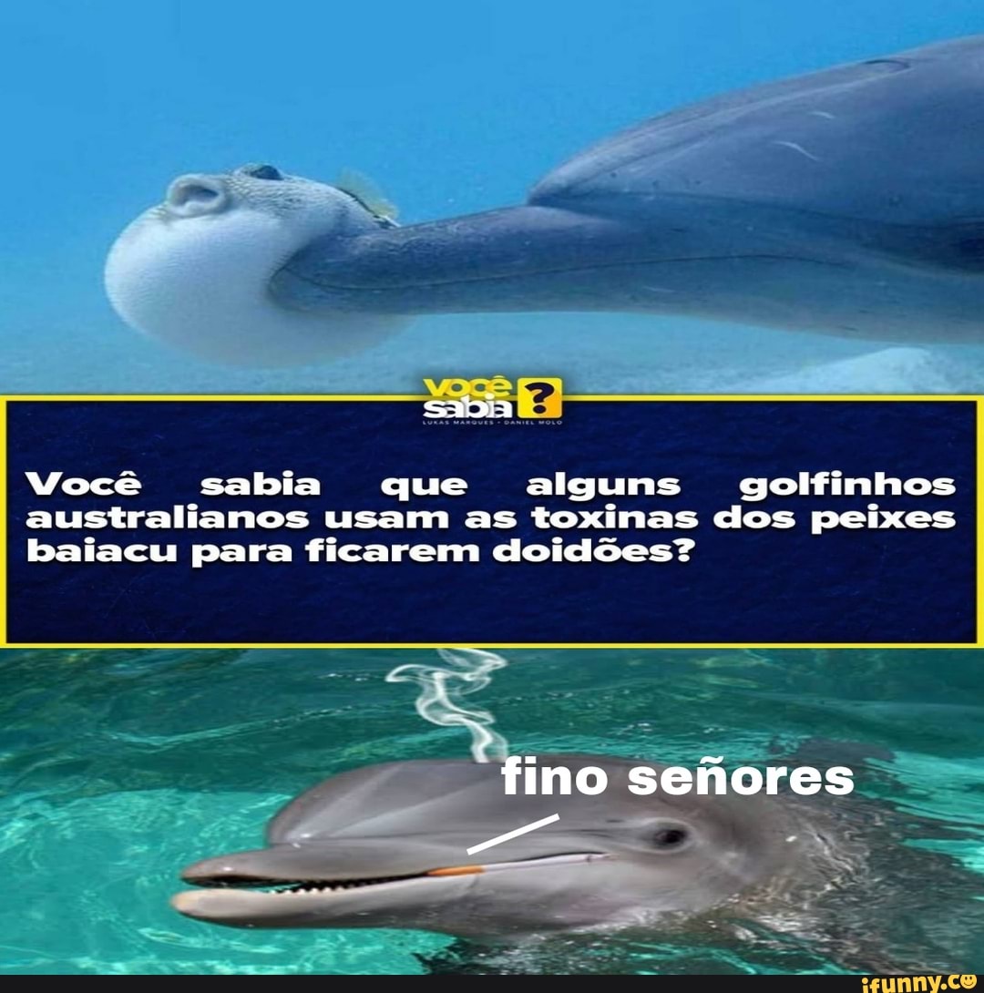 Fino sefiores - iFunny Brazil