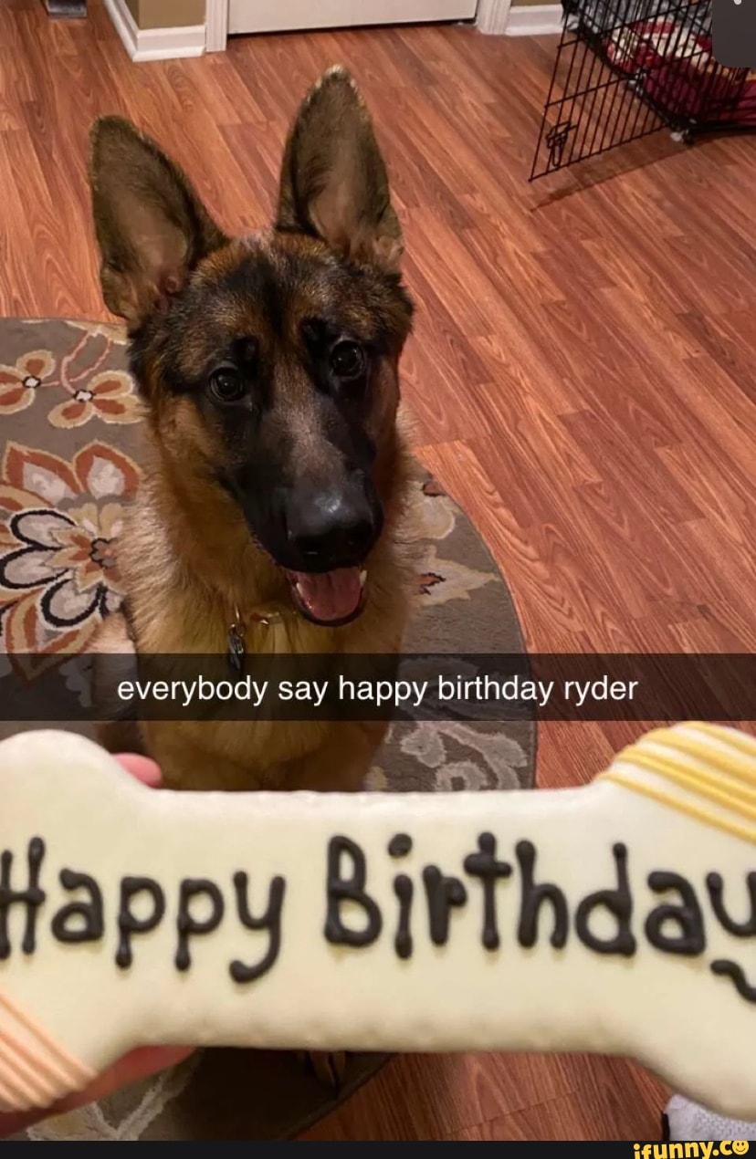 Everybody say happy birthday ryder - iFunny Brazil