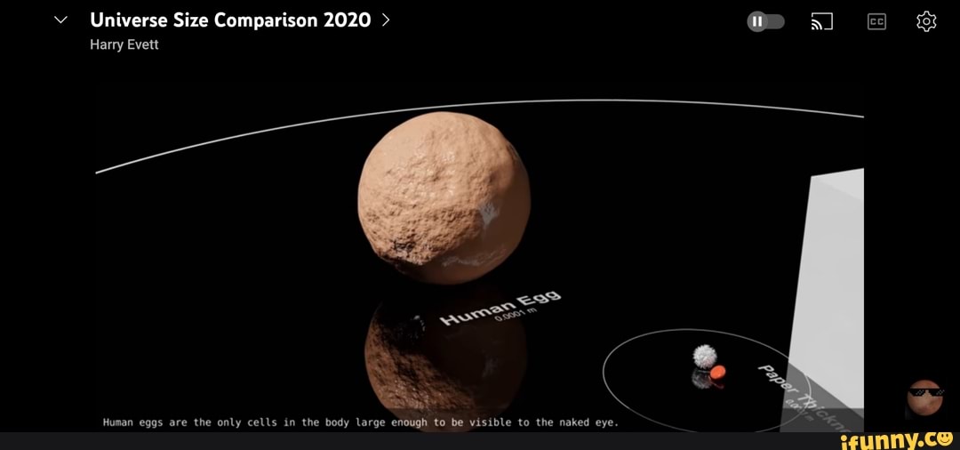 Universe Size Comparison 2020 > @e al Harry Evett Human eggs are the only  cells in the body large enough to be visible to the naked eye. - iFunny  Brazil