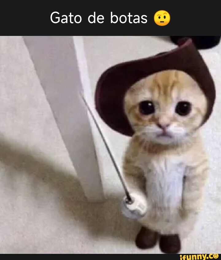 The best Gato De Botas memes :) Memedroid