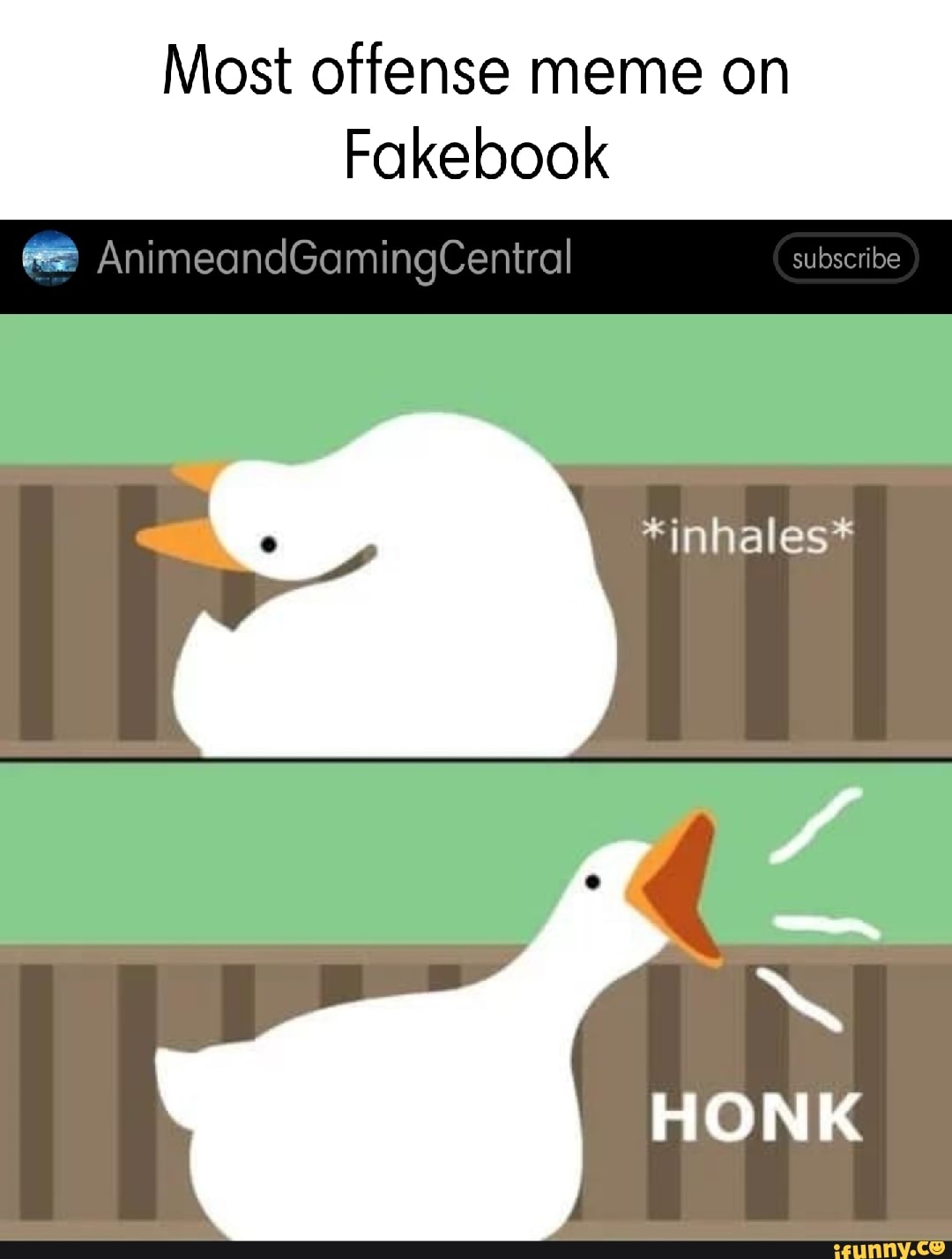 Goose memes. Best Collection of funny Goose pictures on iFunny Brazil