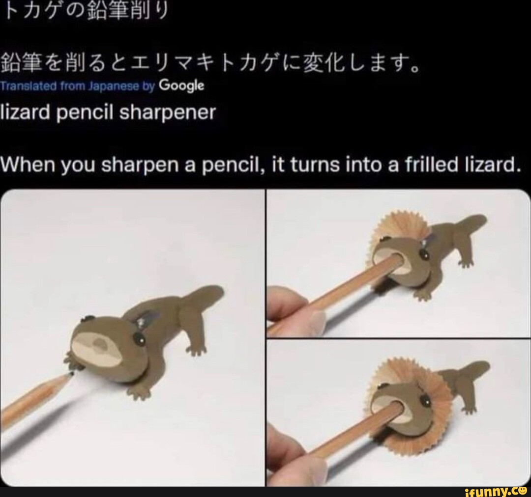 Re IS CTY * hKAPFICBLLEF, by Google lizard pencil sharpener When you