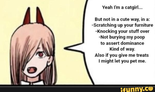 Catgirl memes. Best Collection of funny Catgirl pictures on iFunny Brazil