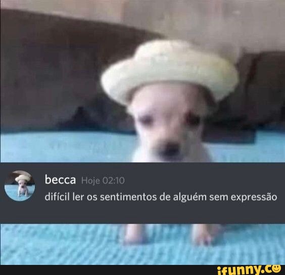 10 expressões e memes engraçados da internet