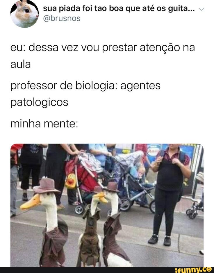 Acra memes. Best Collection of funny Acra pictures on iFunny Brazil