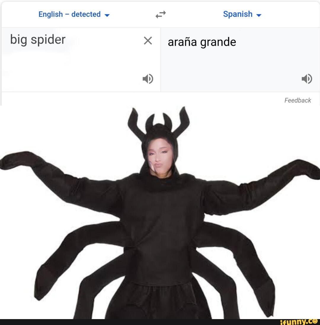 Araña grande meme