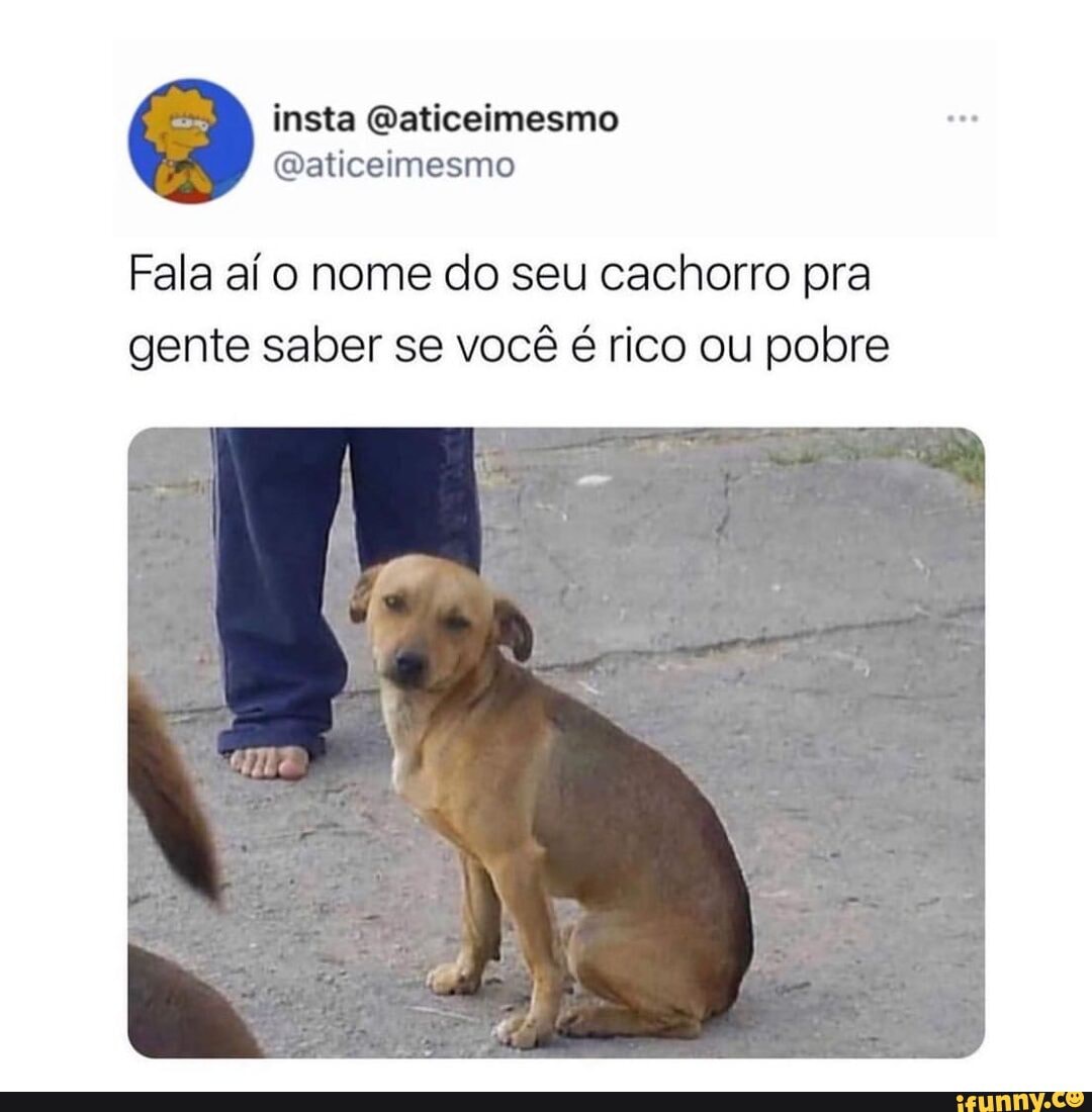 Você e rico ou pobre?