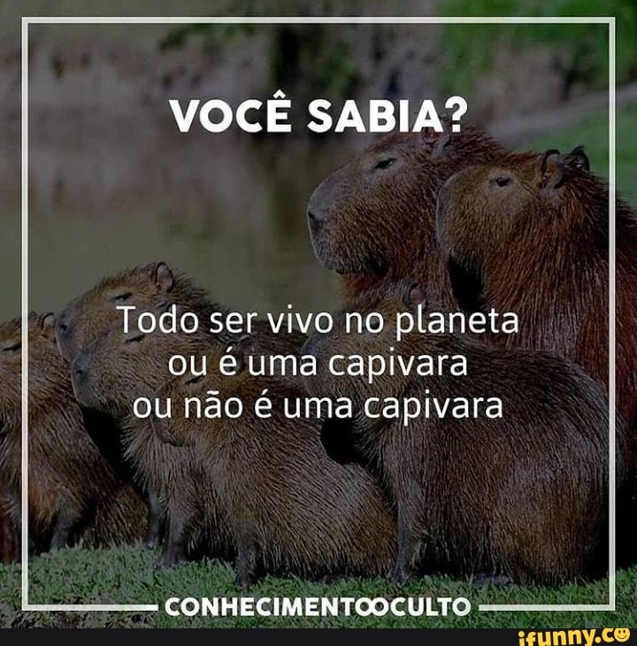 Você é uma capivara?