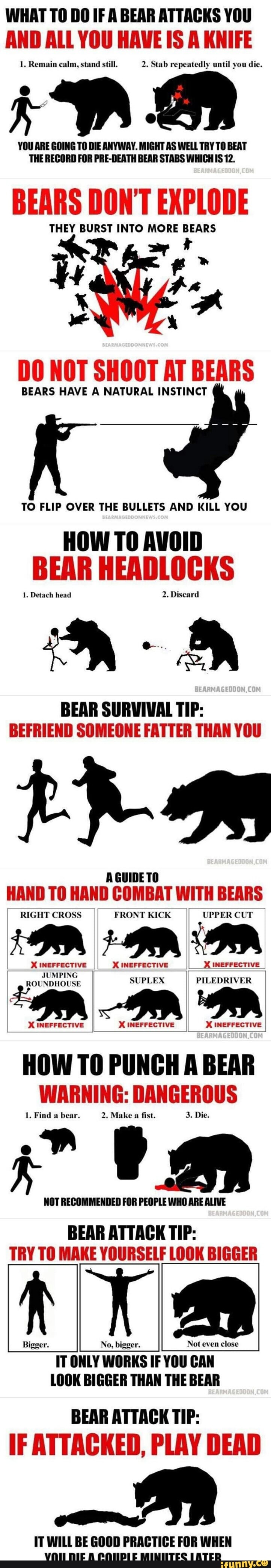 What to do if a bear attacks you deals meme