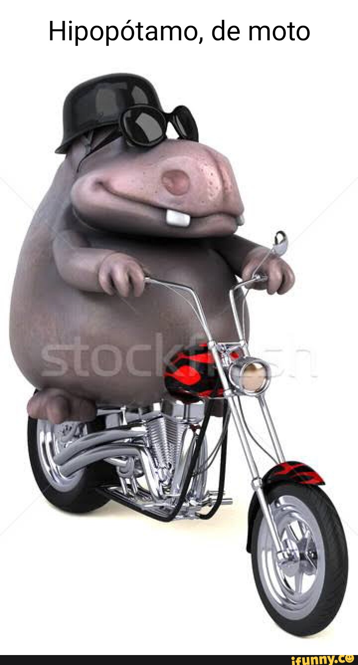 hipopótamo en moto Stock Illustration
