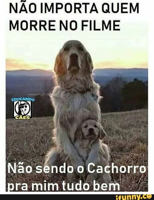 meu cachorro morreu e agora não tenho dinheiro para spoofer no