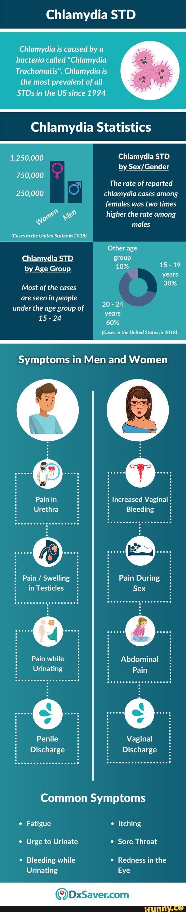 The infographic walks through Chlamydia symptoms in men and women
