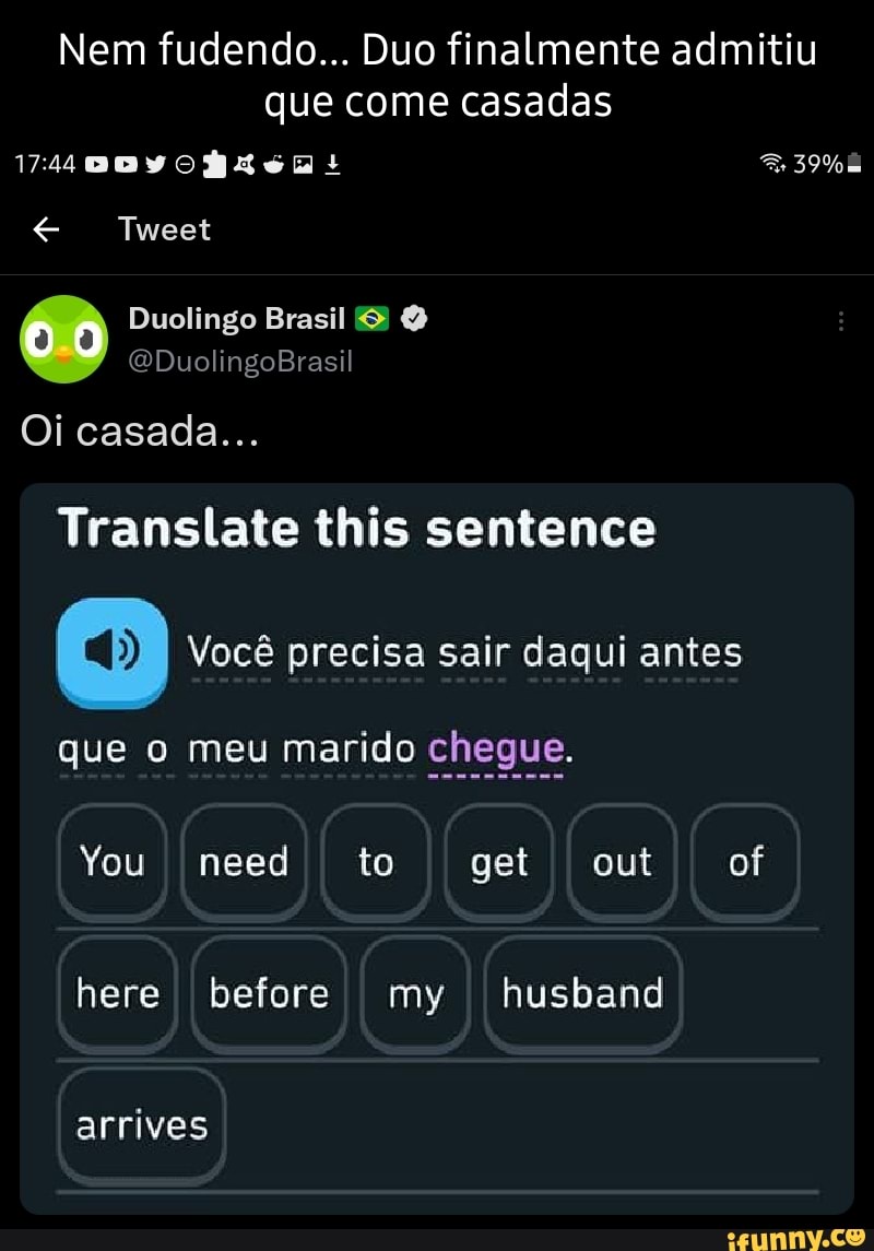 Nem fudendo... Duo finalmente admitiu que come casadas Vs DOVOgLXSD: Tweet  Duolingo Brasil GDuolingoBrasil Oi casada...