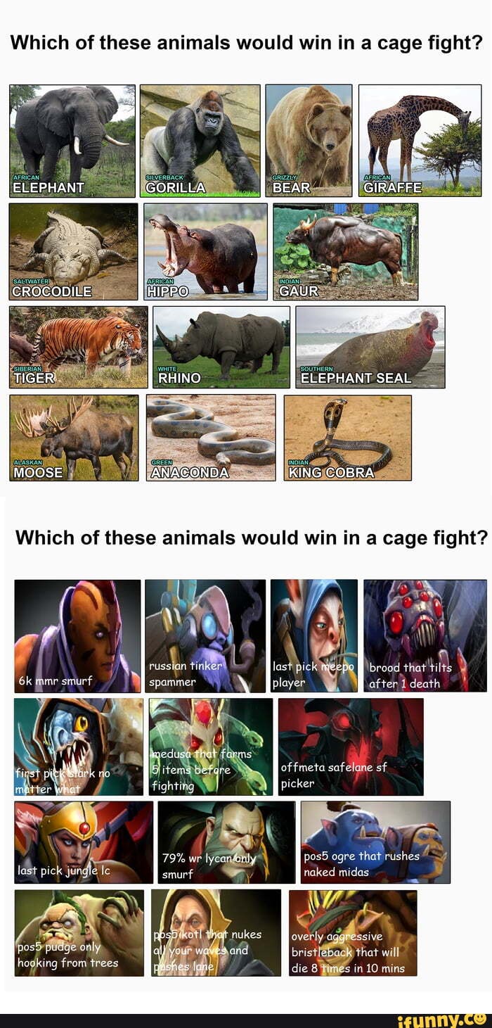 Who would win in a fight?