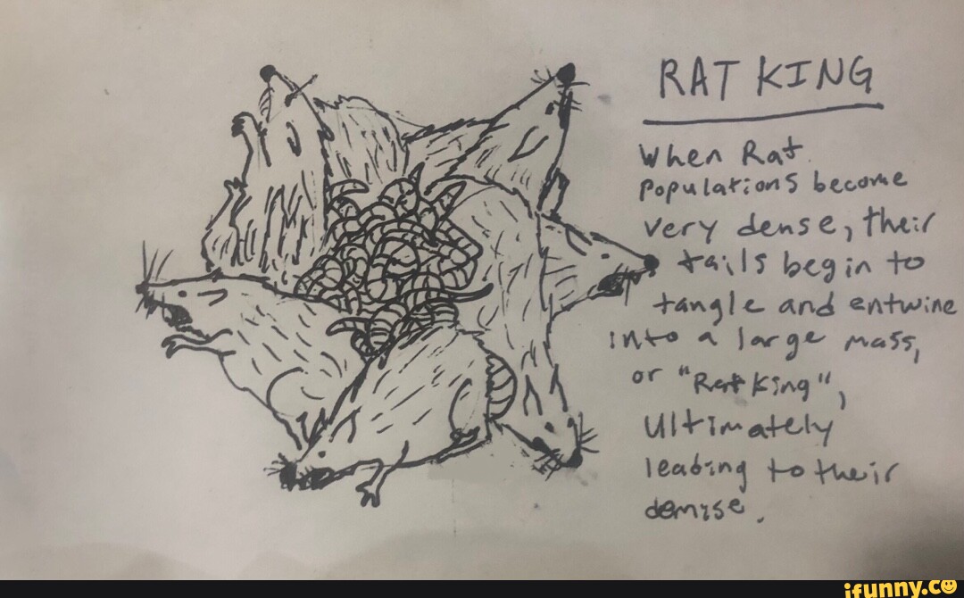 Ratking memes. Best Collection of funny Ratking pictures on iFunny Brazil