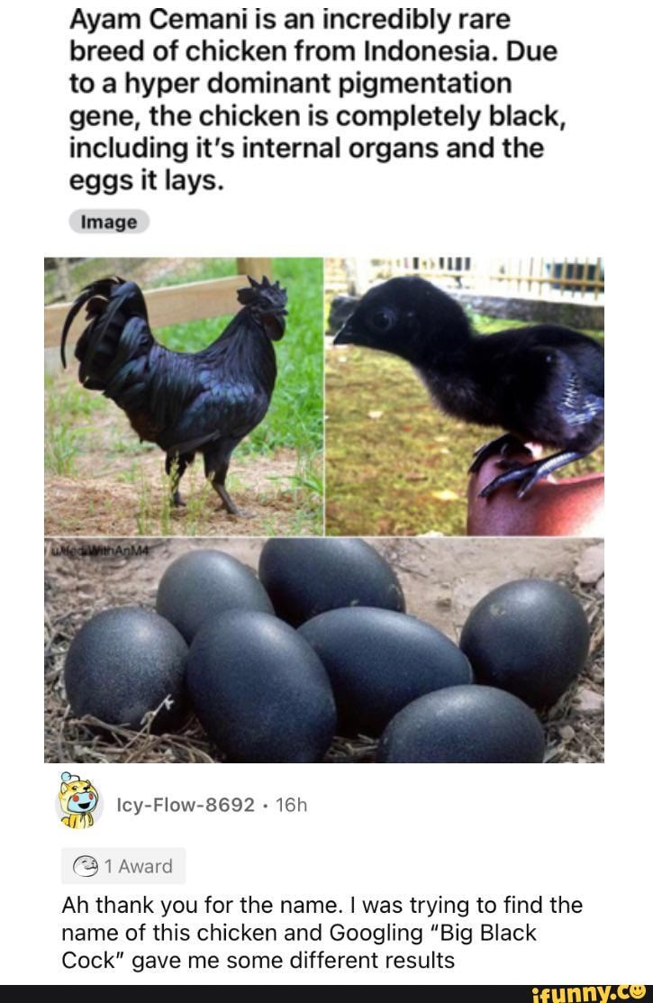 Big black cock meme (83) фото