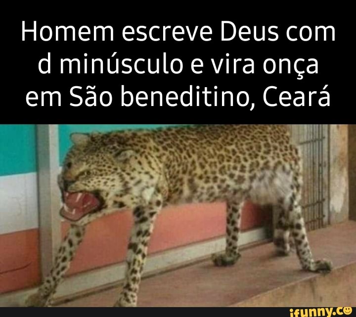 Minúsculo memes. Best Collection of funny Minúsculo pictures on iFunny  Brazil