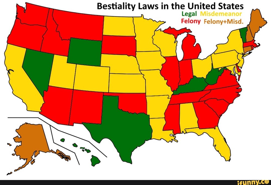 Bestiality Laws in the United States Lega Felony - iFunny Brazil