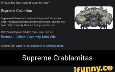 The final boss of Calamity mod is beaten by a hole - Imgflip