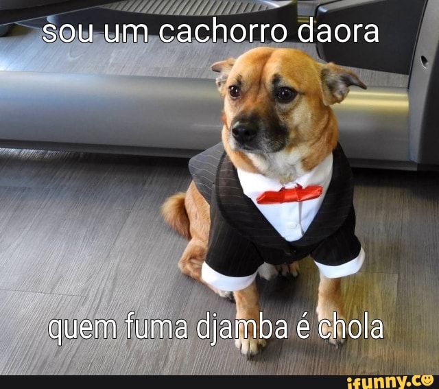 O cão que fuma: Quem foi