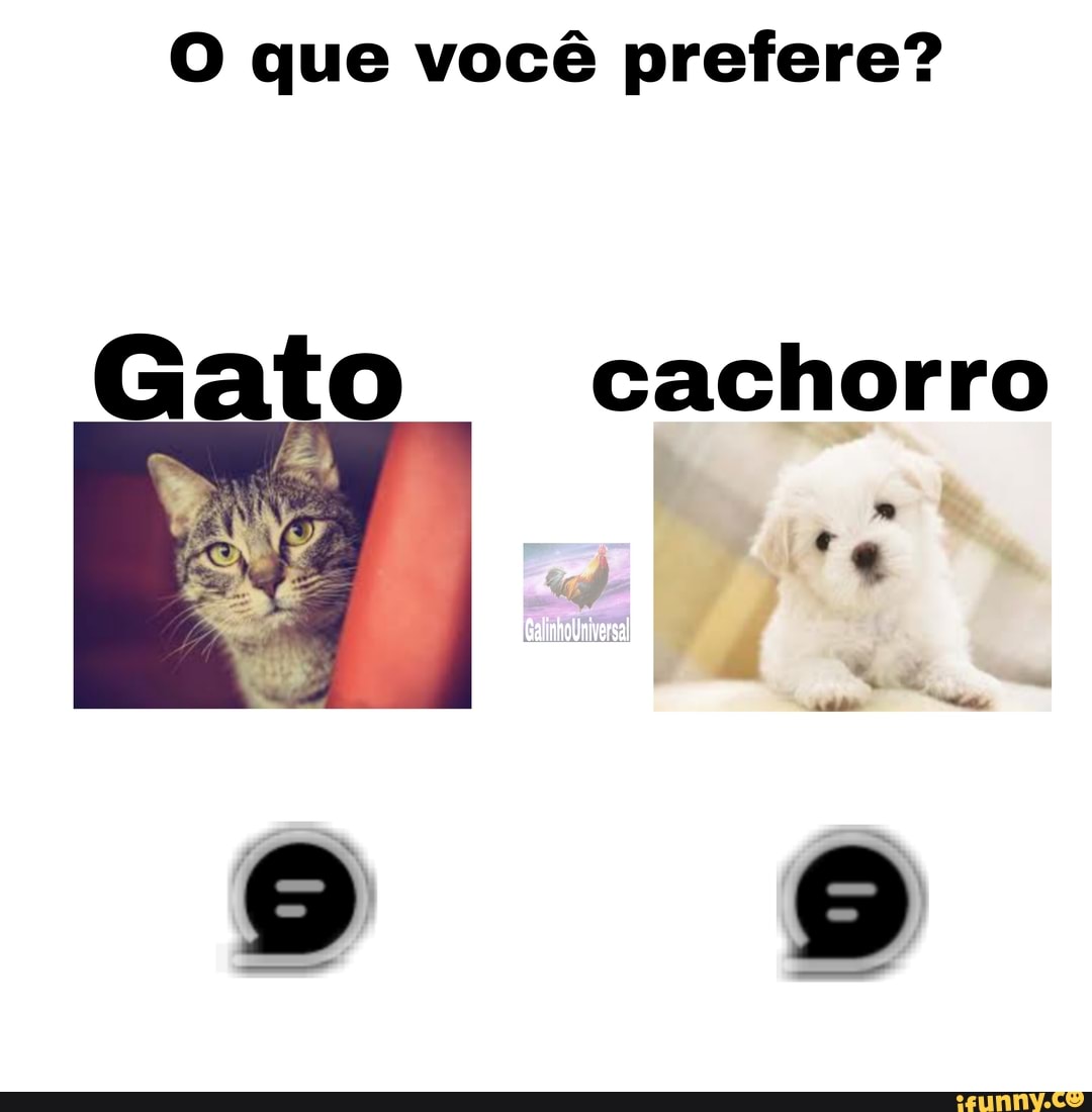 Ve prefere cão ou gata? SIM NÃO I - iFunny Brazil