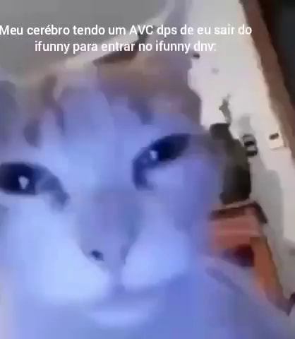 Gatinhofofo memes. Best Collection of funny Gatinhofofo pictures on iFunny  Brazil