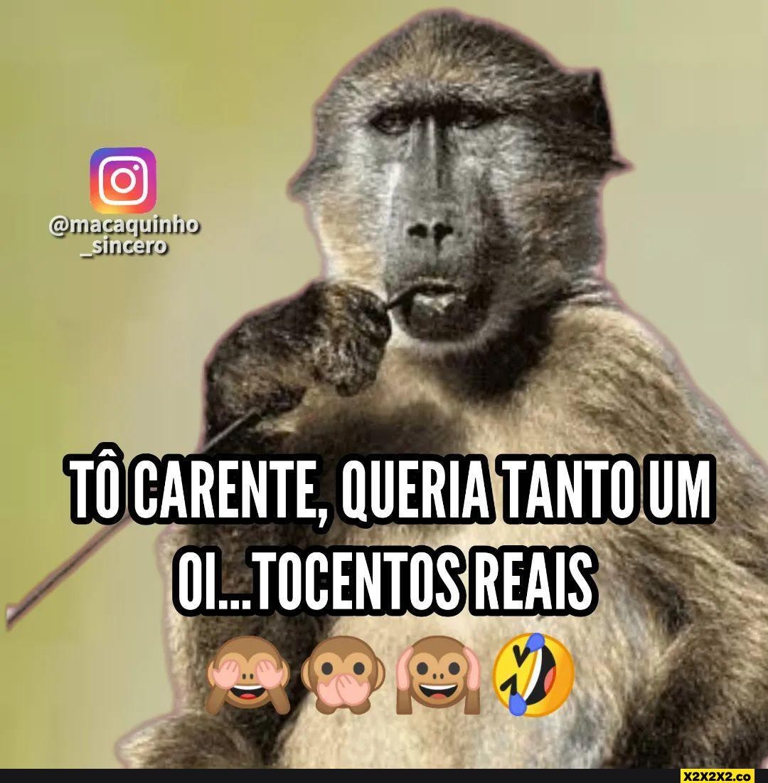 Macaco Sincero - Macaco Sincero added a new photo.