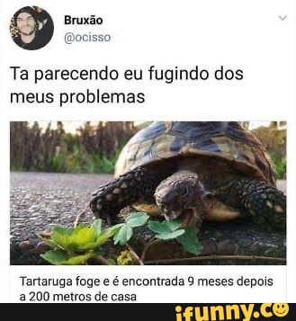 Encontrastes memes. Best Collection of funny Encontrastes pictures on  iFunny Brazil