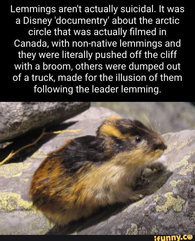 How To Say Lemmings 