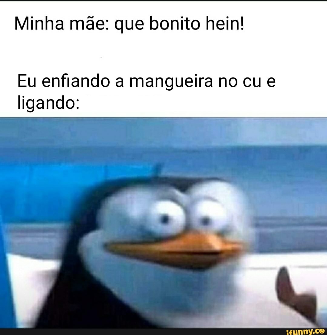 Minha mãe: que bonito hein! Eu enfiando a mangueira no cu e ligando: -  iFunny Brazil