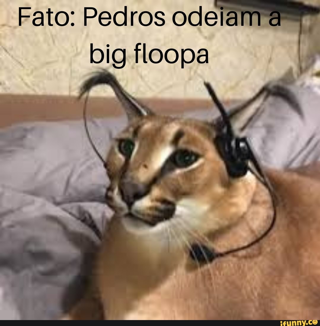 Floopa memes. Best Collection of funny Floopa pictures on iFunny Brazil