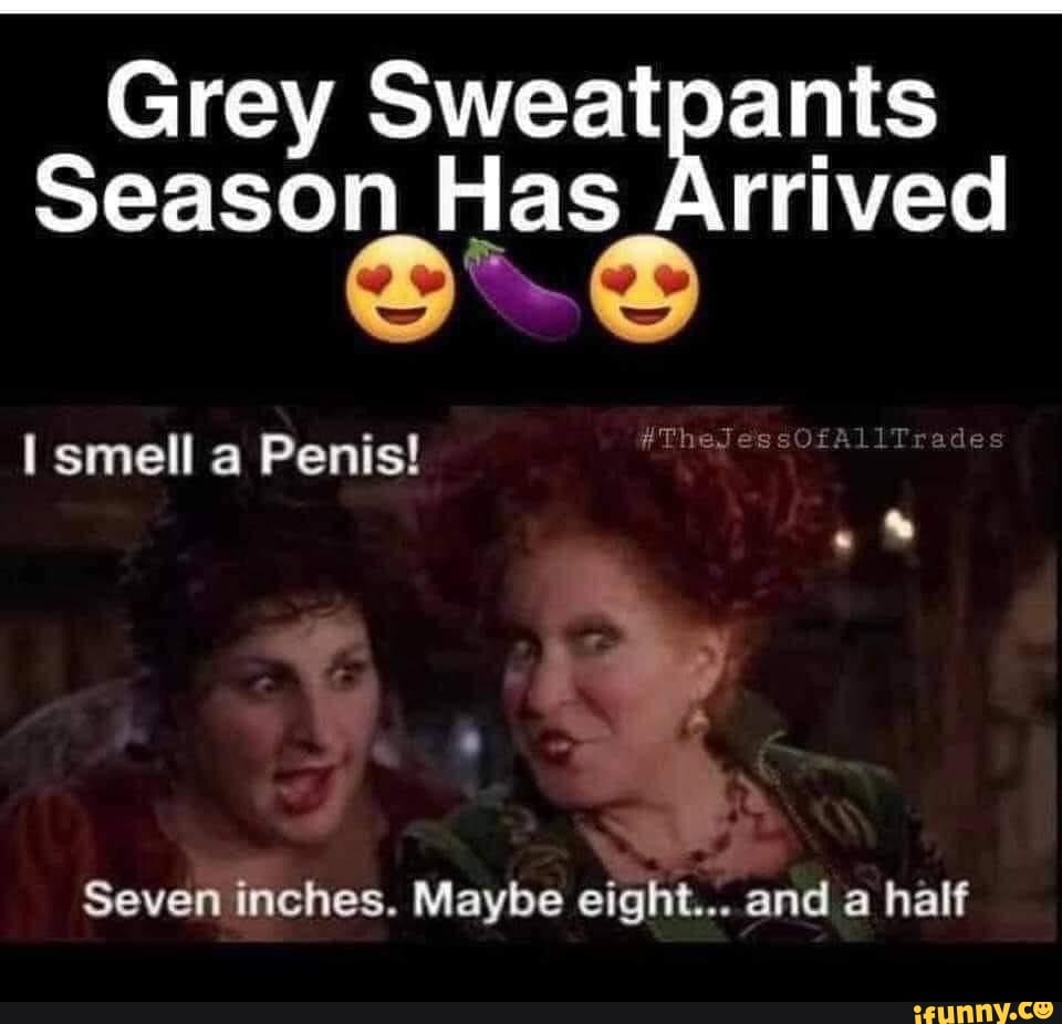 Grey Sweatpants Season Has Arrived smell a Penis! Seven inches. Maybe  eight and a half - iFunny Brazil
